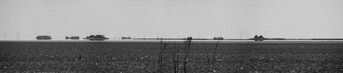 Hallig.jpg