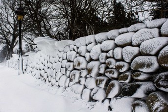 Osterschnee--(11).jpg