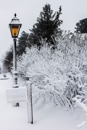 Osterschnee--(13).jpg