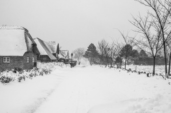 Osterschnee--(6).jpg