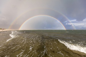 Regenbogen_BanHorn_1.jpg