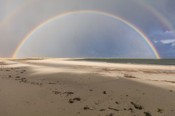 Regenbogen_BanHorn_2.jpg