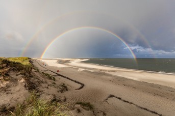 Regenbogen_BanHorn_3.jpg