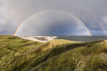 Regenbogen_BanHorn_4.jpg
