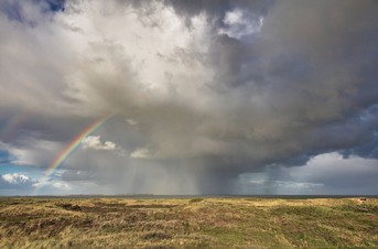 Regenbogen.jpg