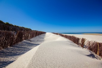 Sandwelle.jpg