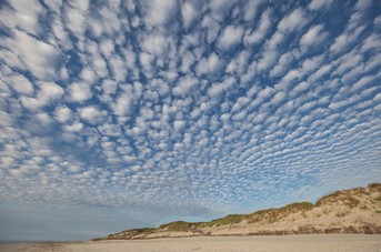 Schaefchen_Wolken.jpg