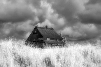 Senf_Haus-(1).jpg