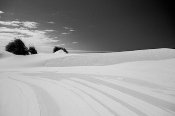 SW_Dune.jpg