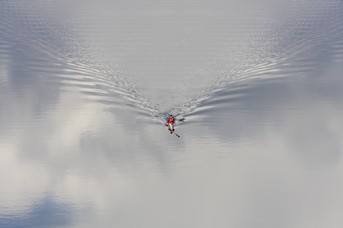 Paddler_Hafenbecken_1.jpg